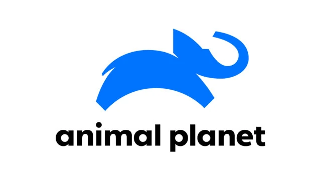 Assistir Animal Planet