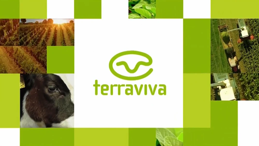 Assistir Terra Viva